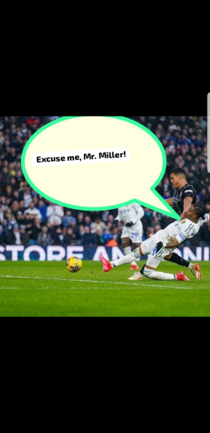 Excuse Me, Mr. Miller!